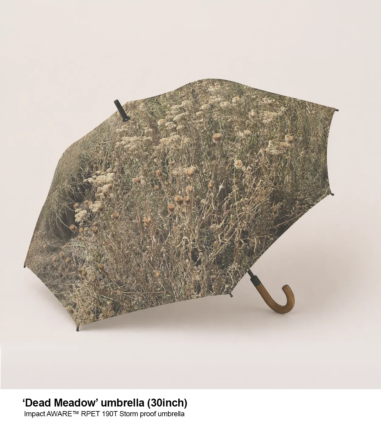 Dry as a Bone umbrella